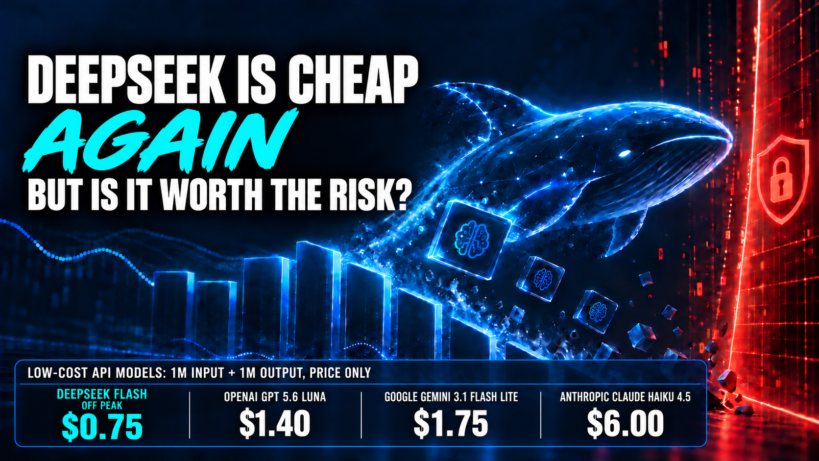 DeepSeek pricing comparison with OpenAI, Google, and Anthropic, alongside a visual representation of privacy and security risk